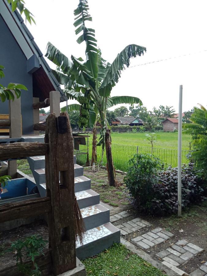 Joglopari Guesthouse Room 2 Bukan Untuk Pasangan Non Pasutri Tjepit Kültér fotó